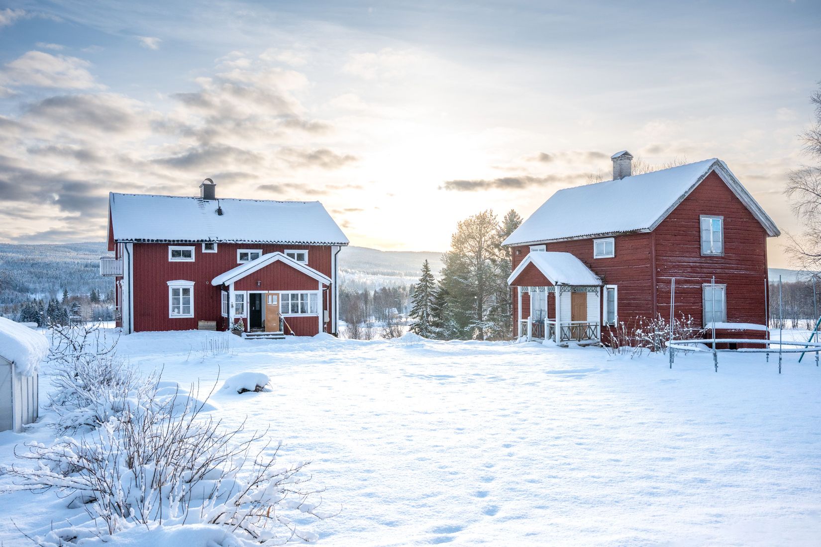 Gård/Skog, Sångal 206, Sollefteå