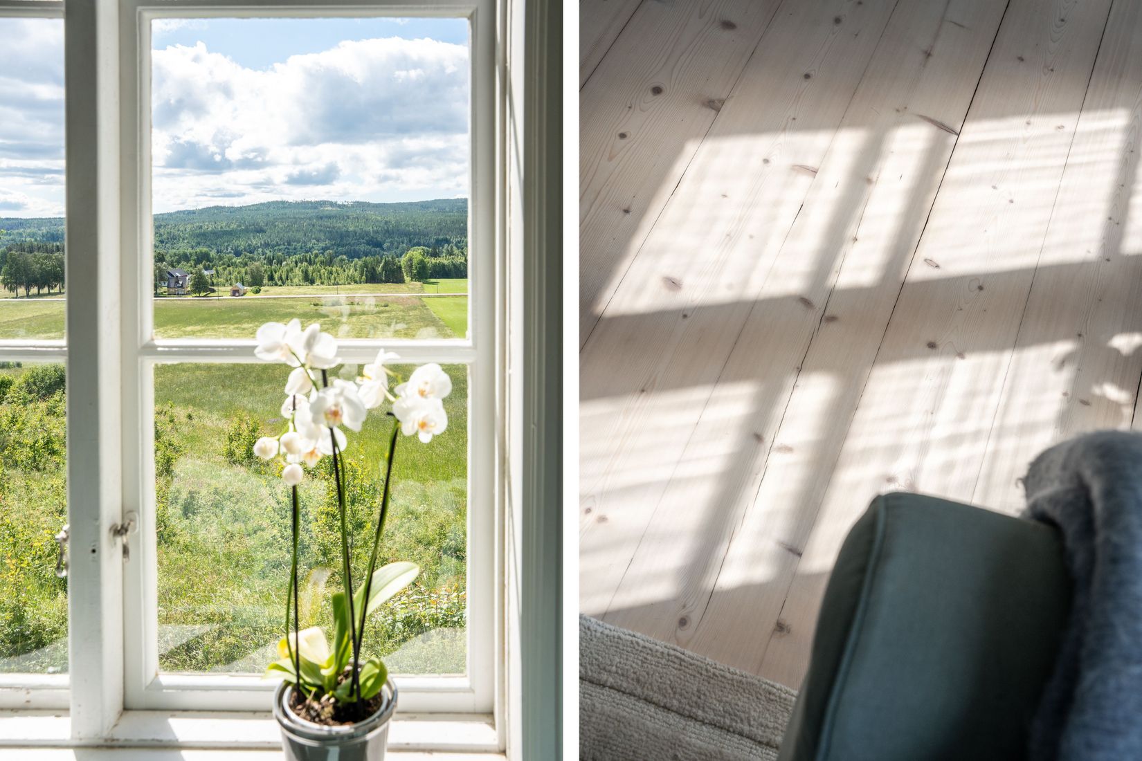 Gård/Skog, Sångal 206, Sollefteå