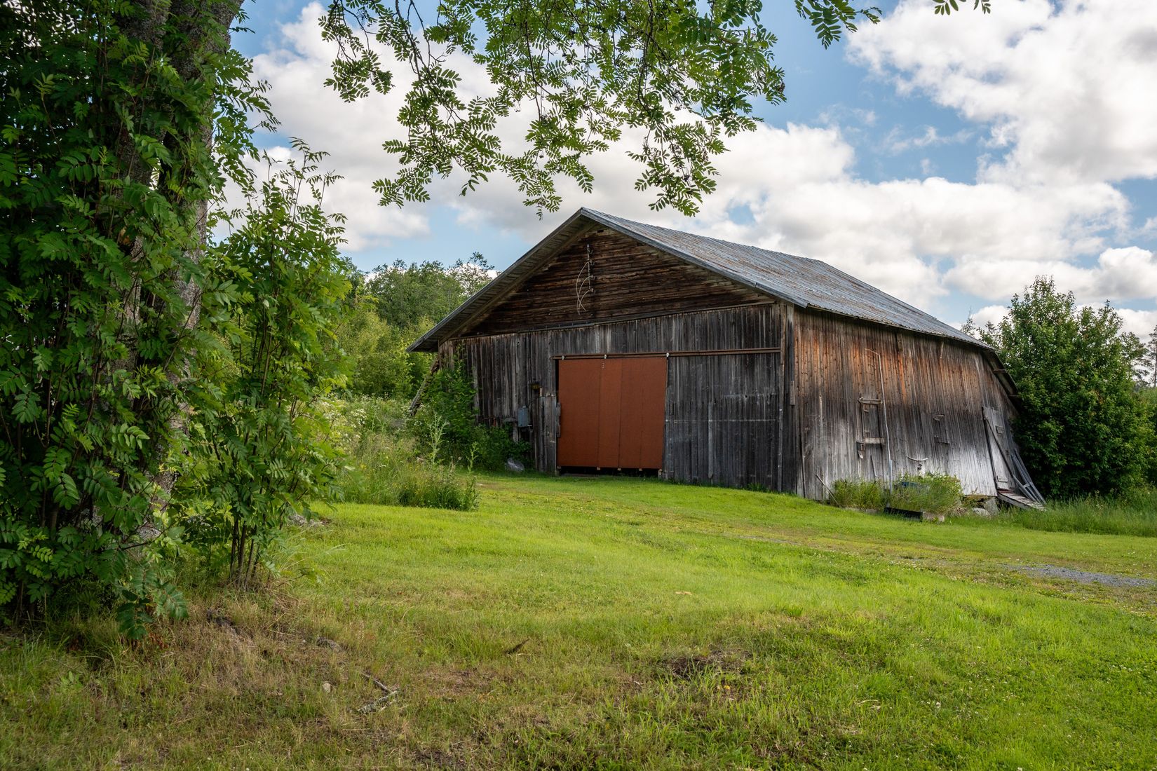 Gård/Skog, Sångal 206, Sollefteå