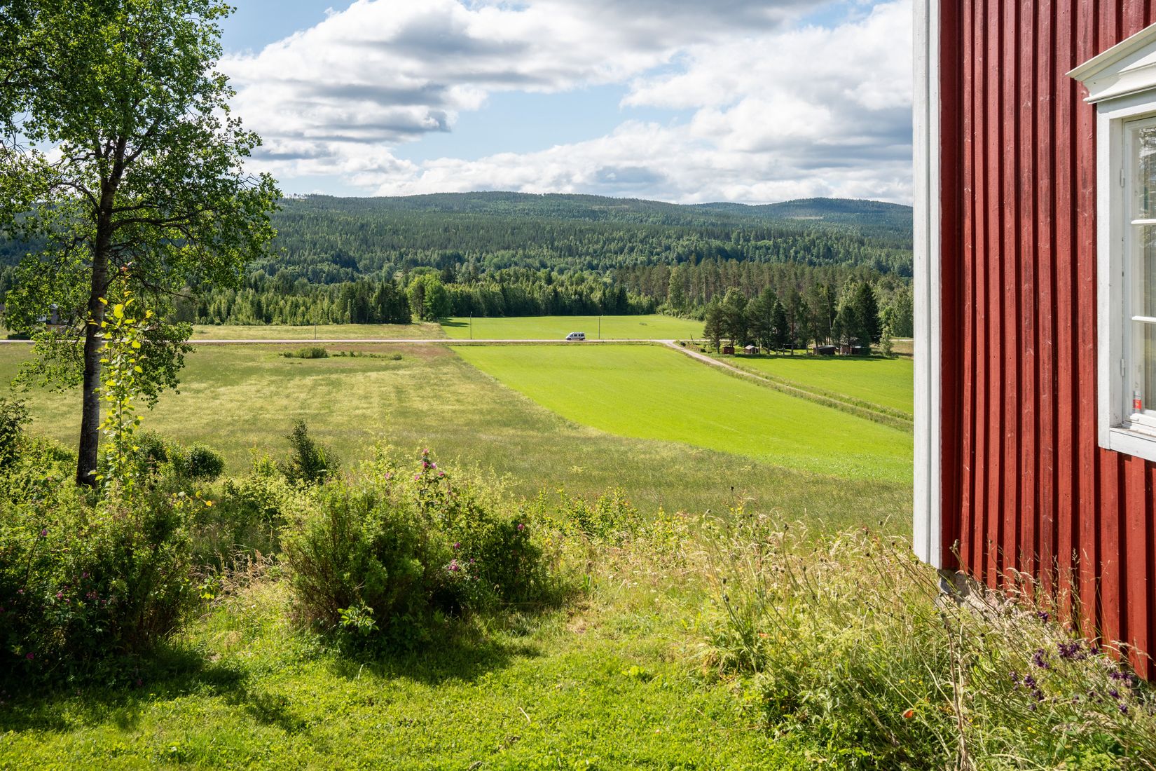 Gård/Skog, Sångal 206, Sollefteå