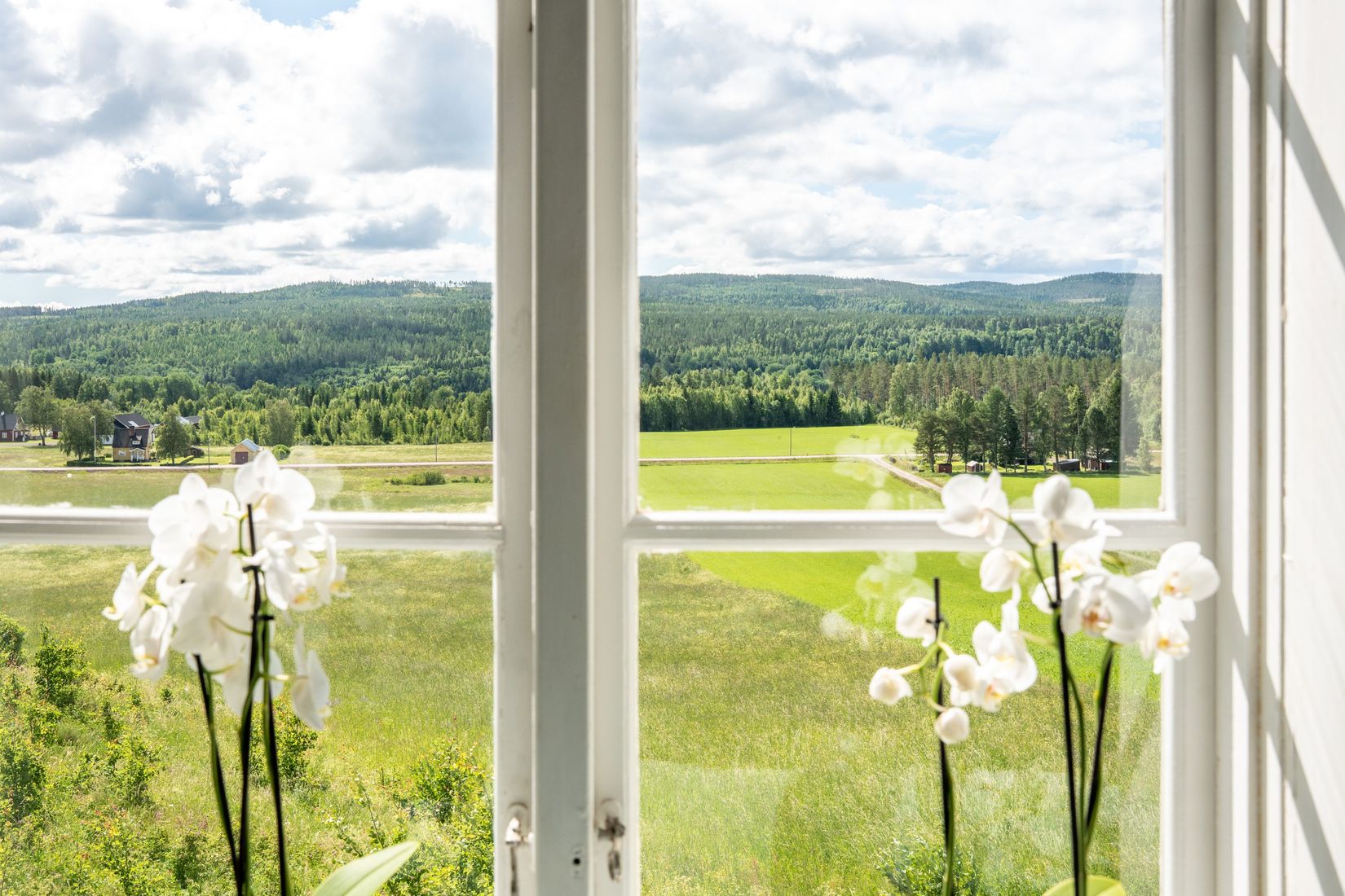 Gård/Skog, Sångal 206, Sollefteå