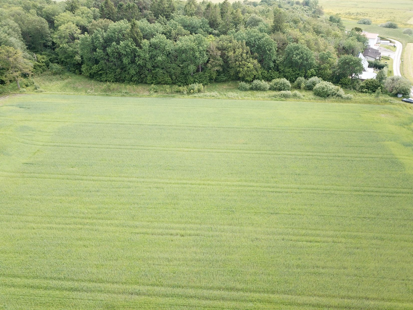 Tomt, Hammar 2:29, Kungälv
