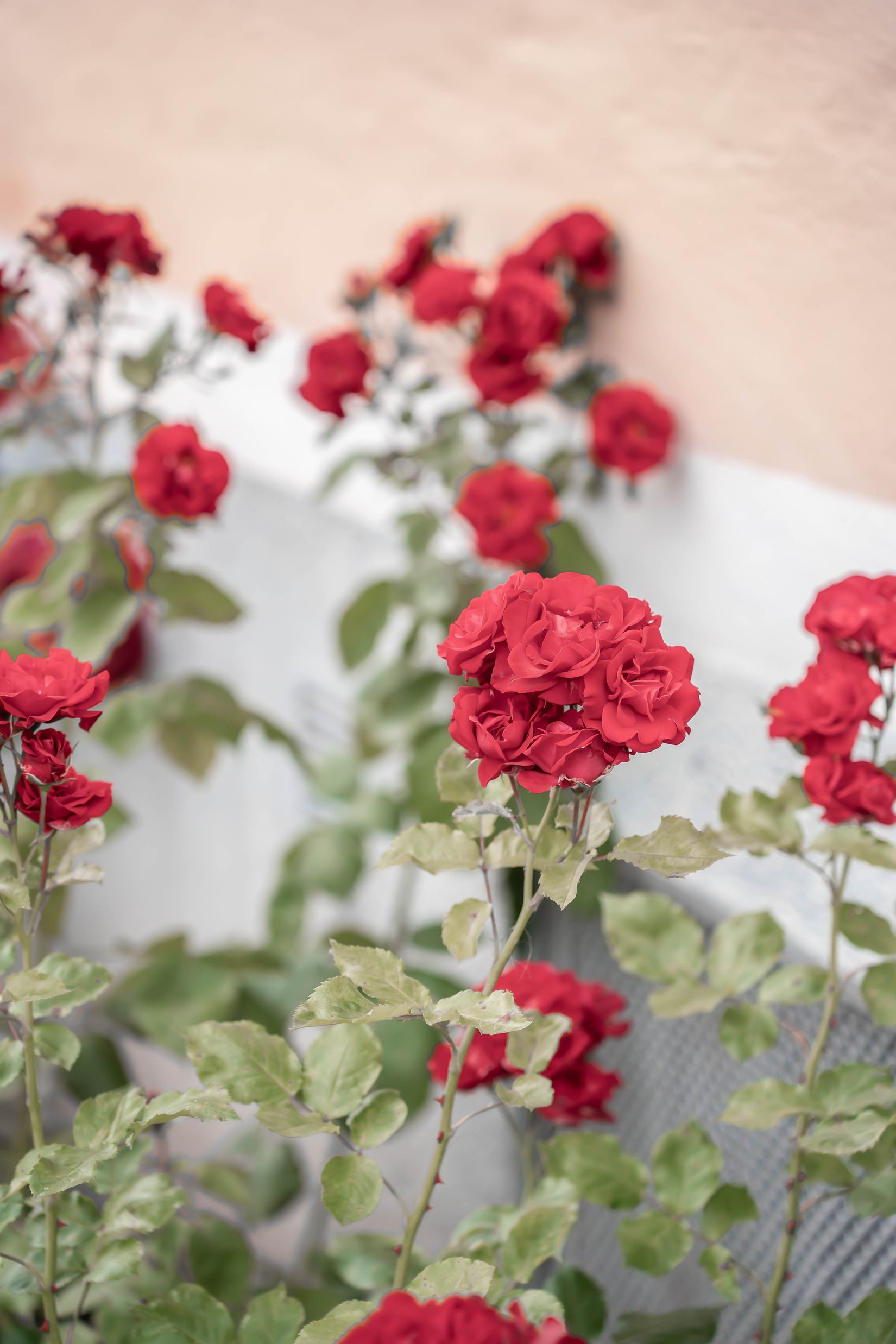 Bostadsrätt, Kapellgatan 6A, Kristianstad