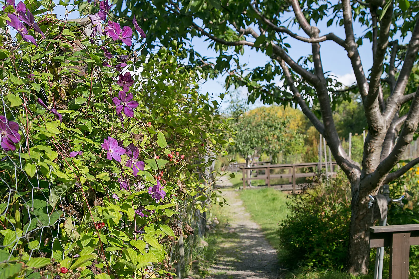 Bostadsrätt, Thunbergsgatan 26, Hammarbyhöjden, Johanneshov, Stockholm