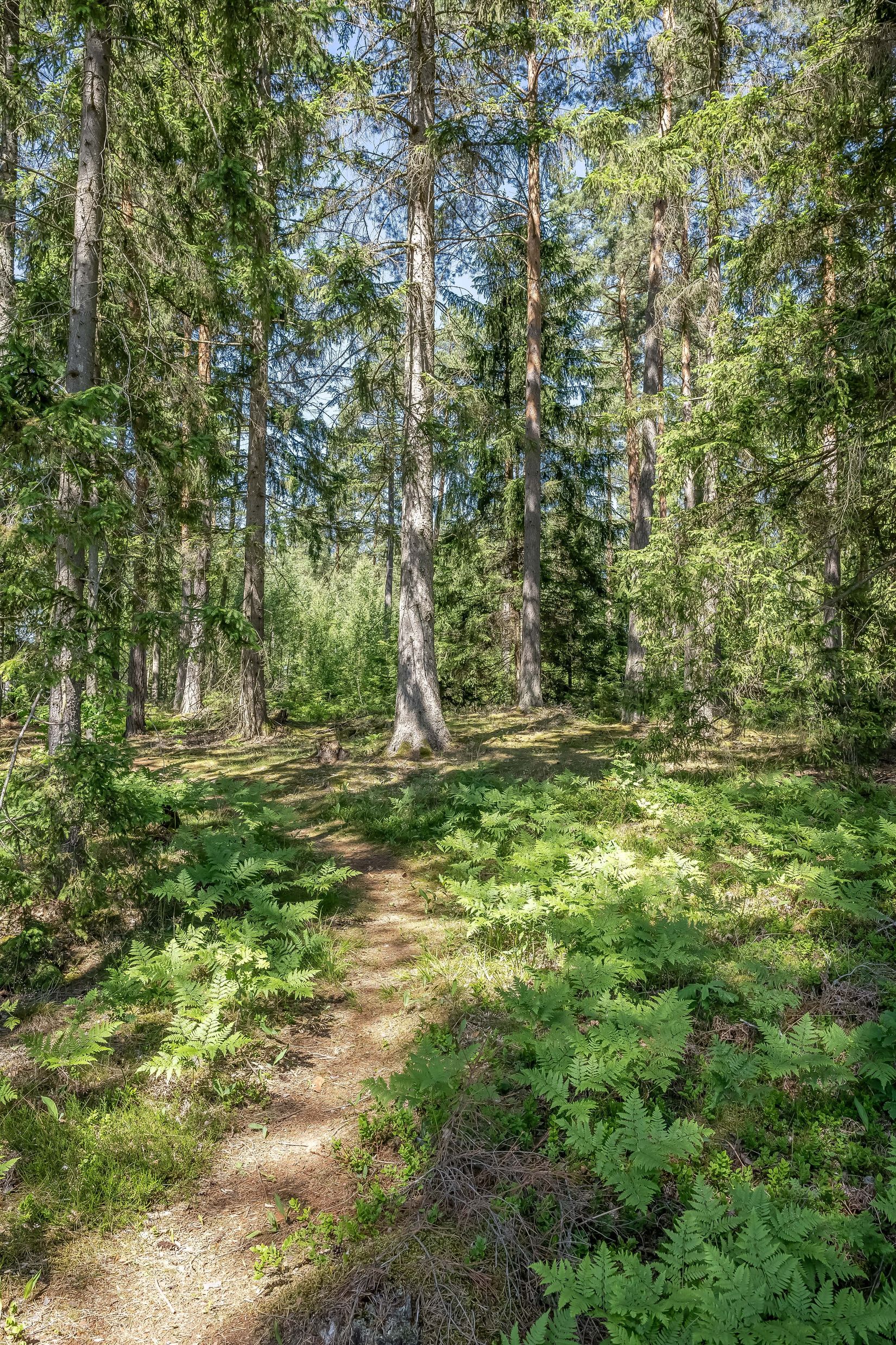 Bostadsrätt, Holmtorpsvägen 51, Björkalund, Norrköping