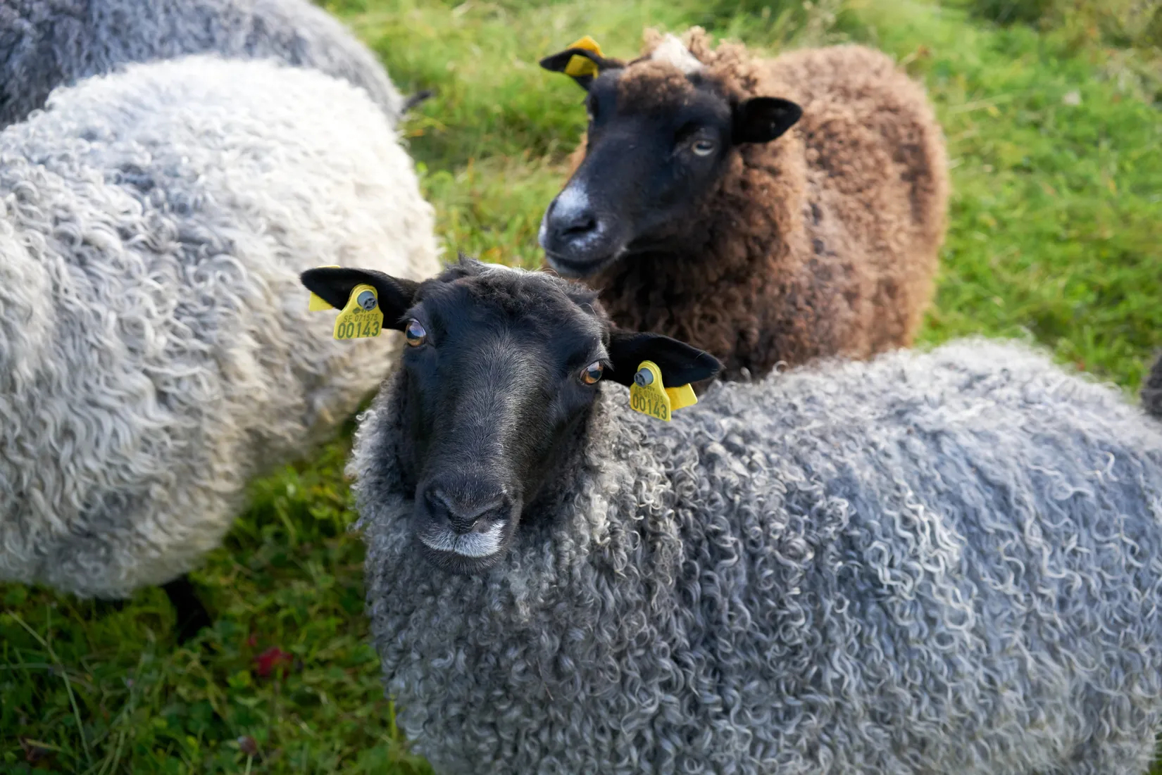 Fritidshus, Bingsjö Olarsvägen 1, Rättvik