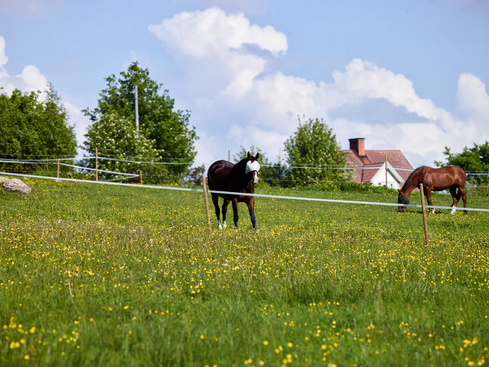 Fritidshus, Bingsjö Olarsvägen 1, Rättvik