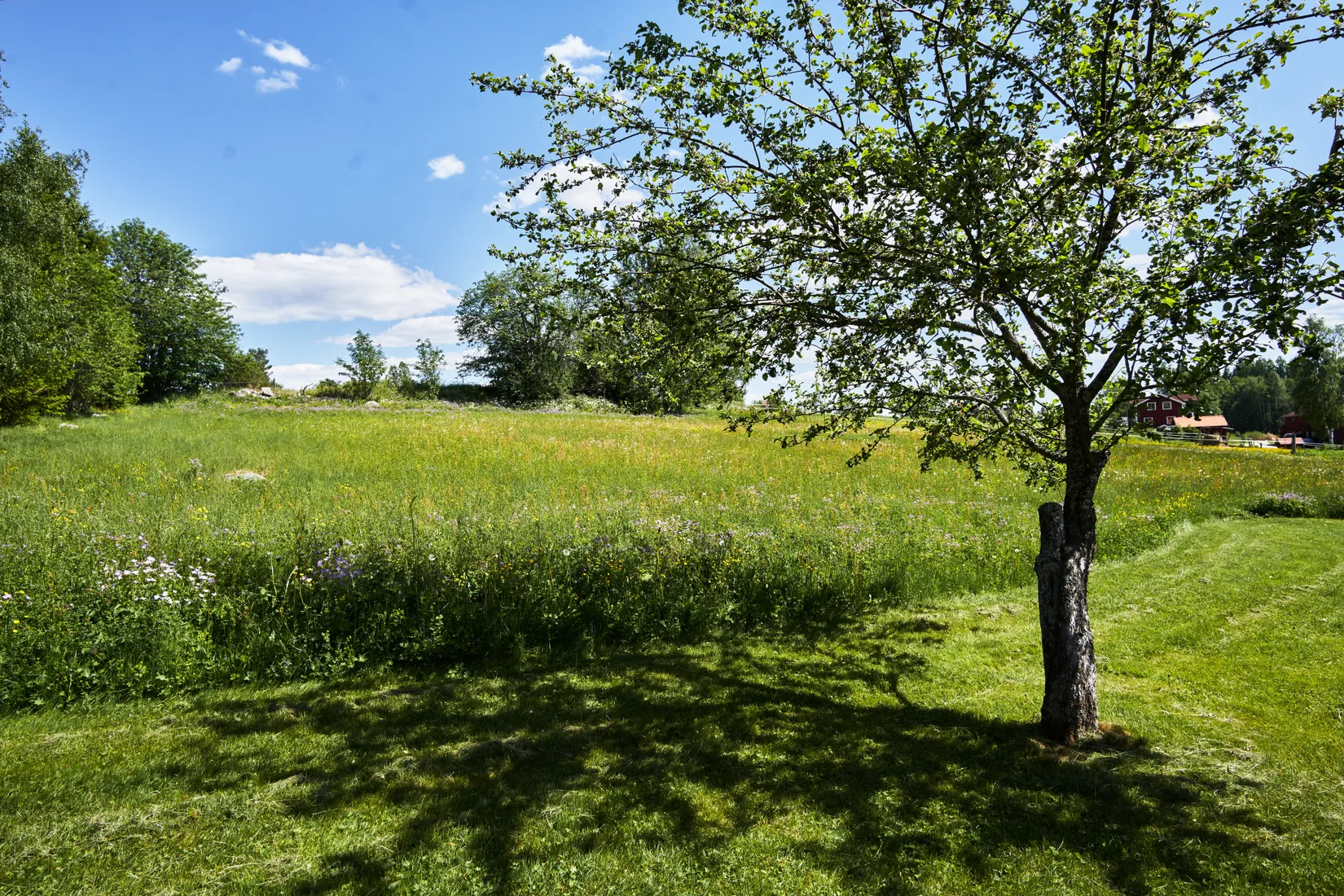 Fritidshus, Bingsjö Olarsvägen 1, Rättvik