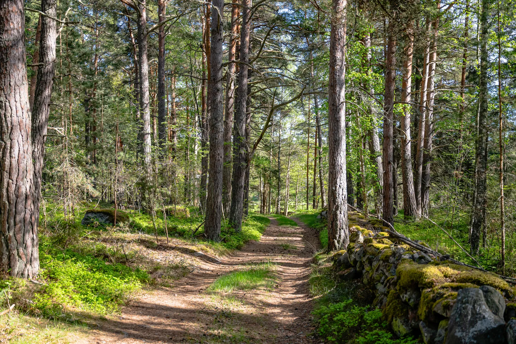 Gård/Skog, Sigridsberg 1, Ljusterö-Östra Lagnö, Österåker