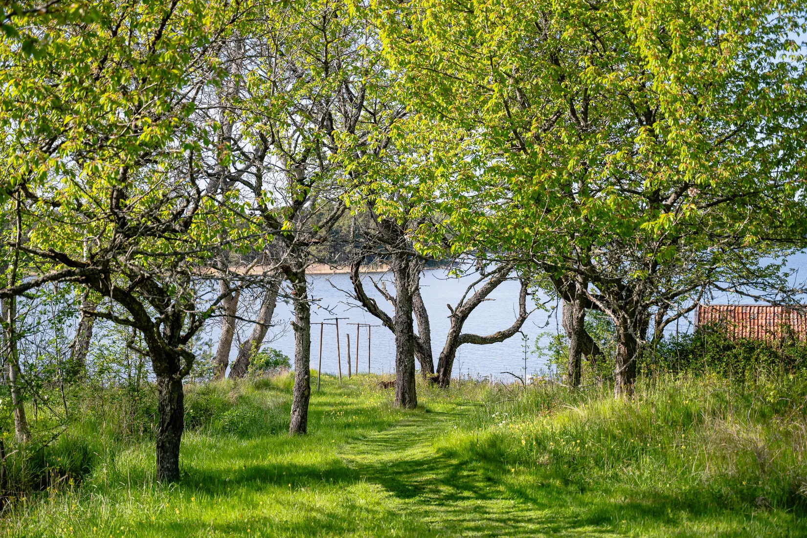 Gård/Skog, Sigridsberg 1, Ljusterö-Östra Lagnö, Österåker