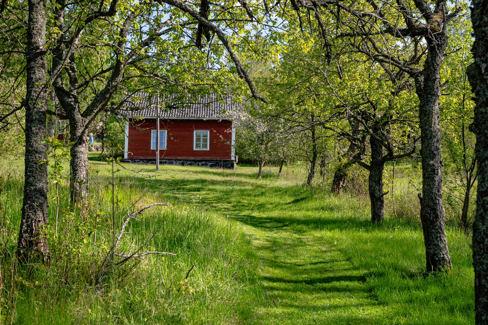 Gård/Skog, Sigridsberg 1, Ljusterö-Östra Lagnö, Österåker