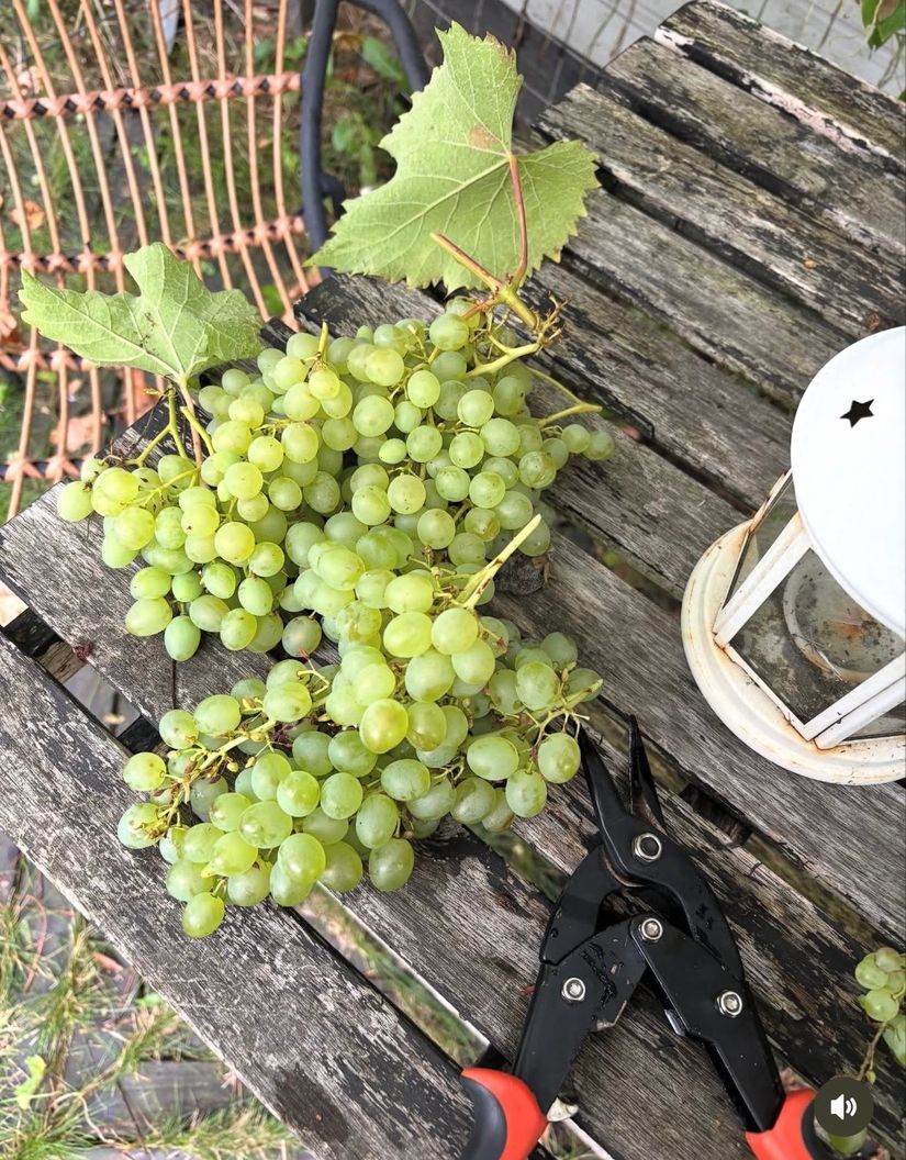 Villa, Västra Storgatan 33, Rydsgård, Skurup