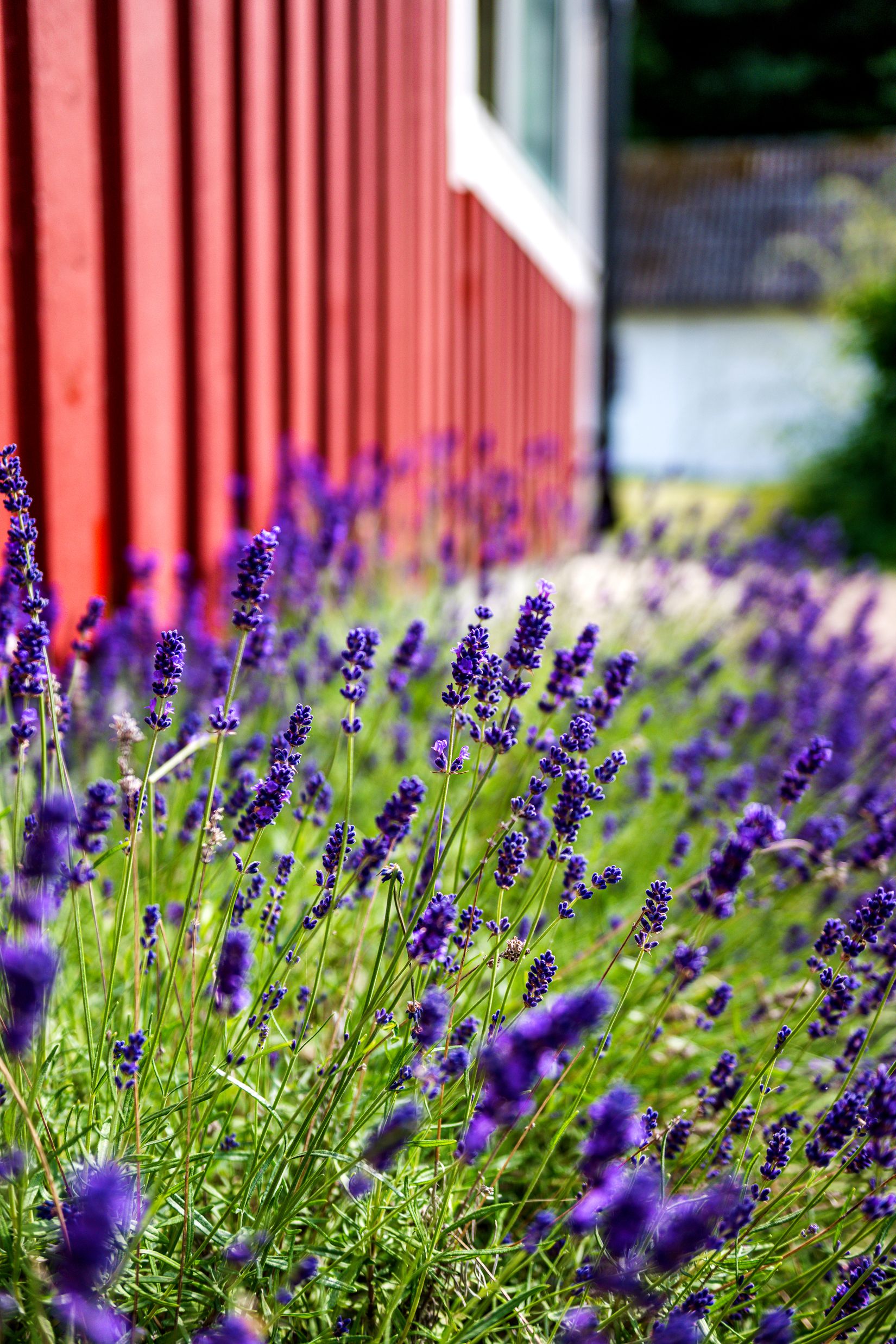Villa, Kattviksvägen 521, Kattvik, Båstad