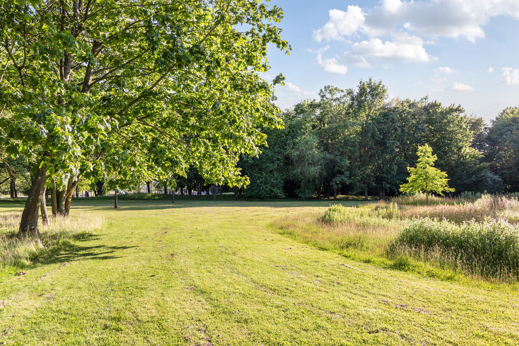 Bostadsrätt, Tulpangatan 11, Fosiedal, Malmö