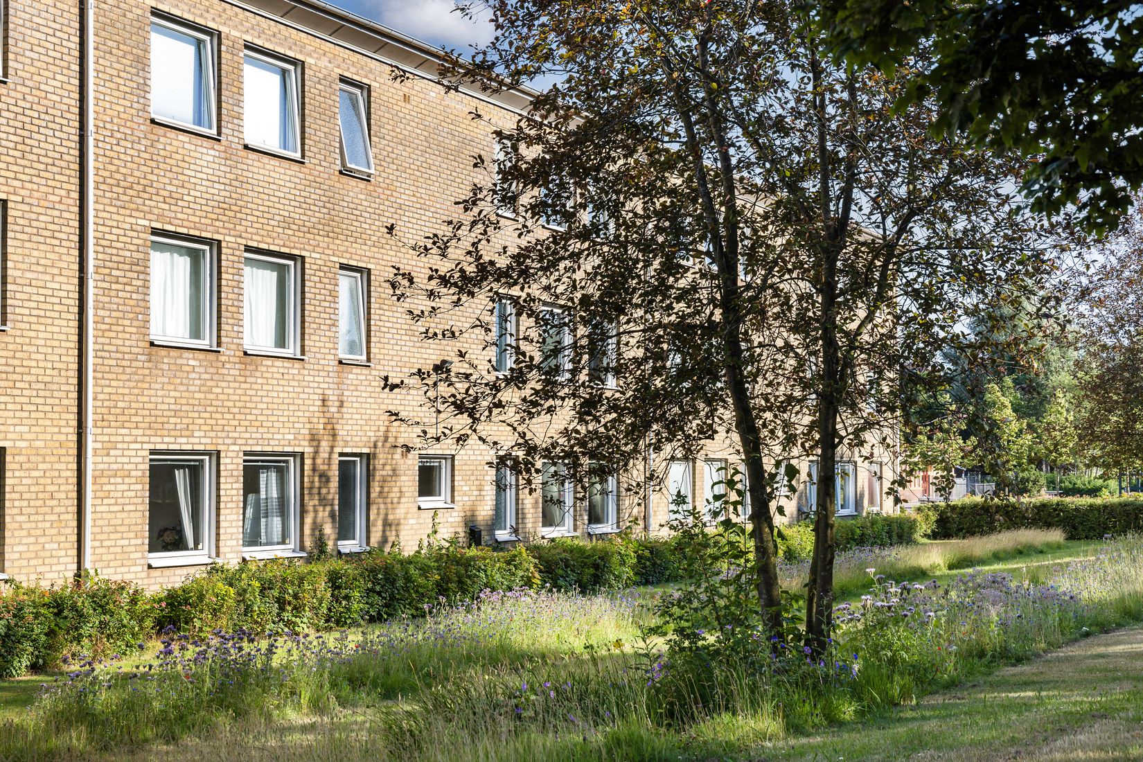 Bostadsrätt, Tulpangatan 11, Fosiedal, Malmö