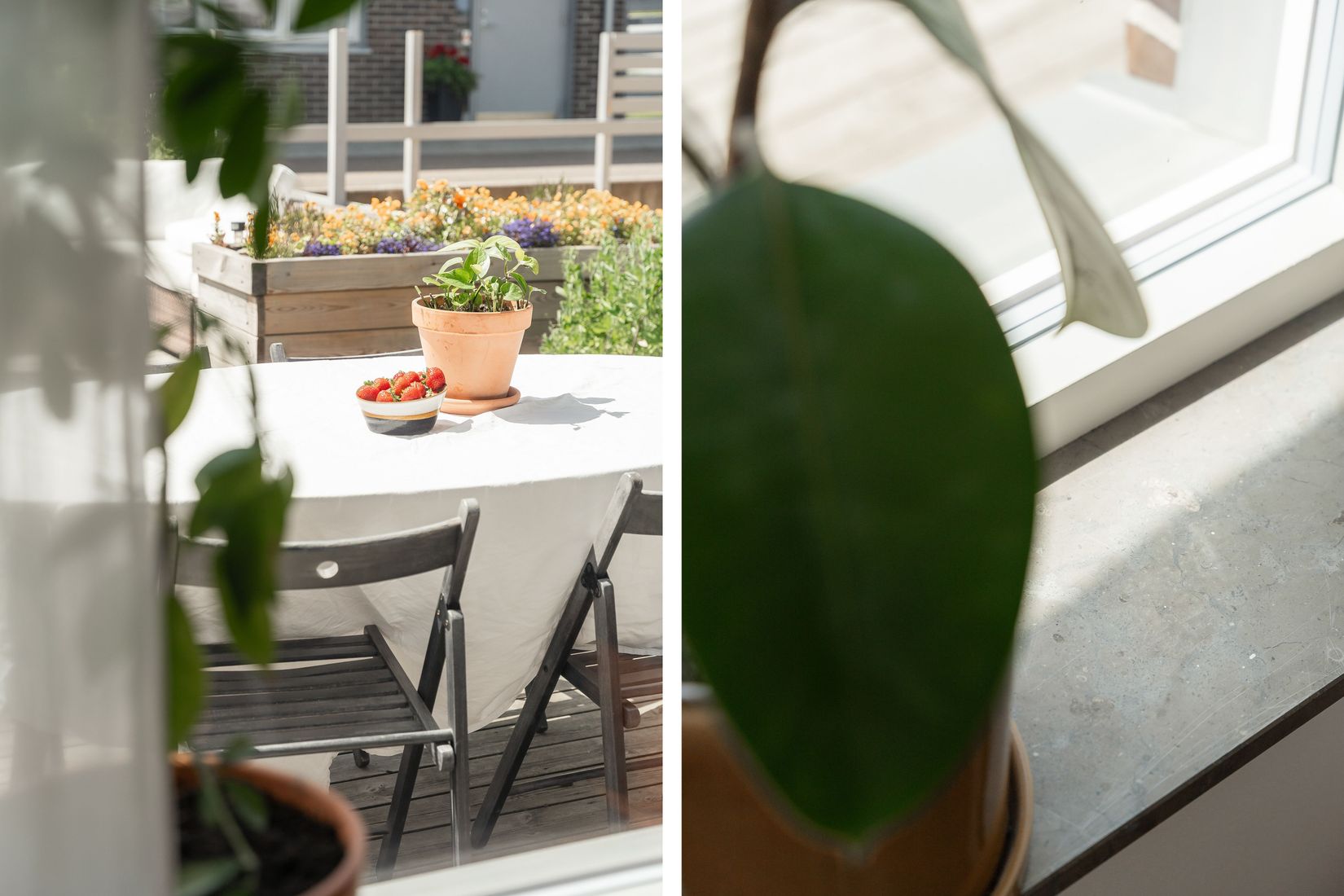 Radhus, Ploggatan 10, Åkerbruket, Malmö