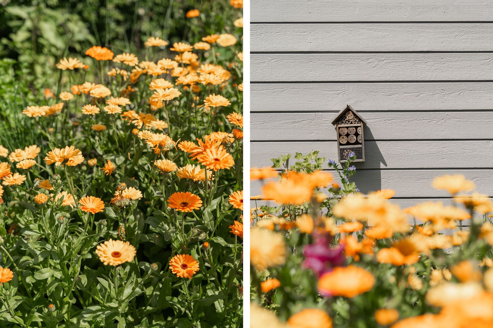 Radhus, Ploggatan 10, Åkerbruket, Malmö