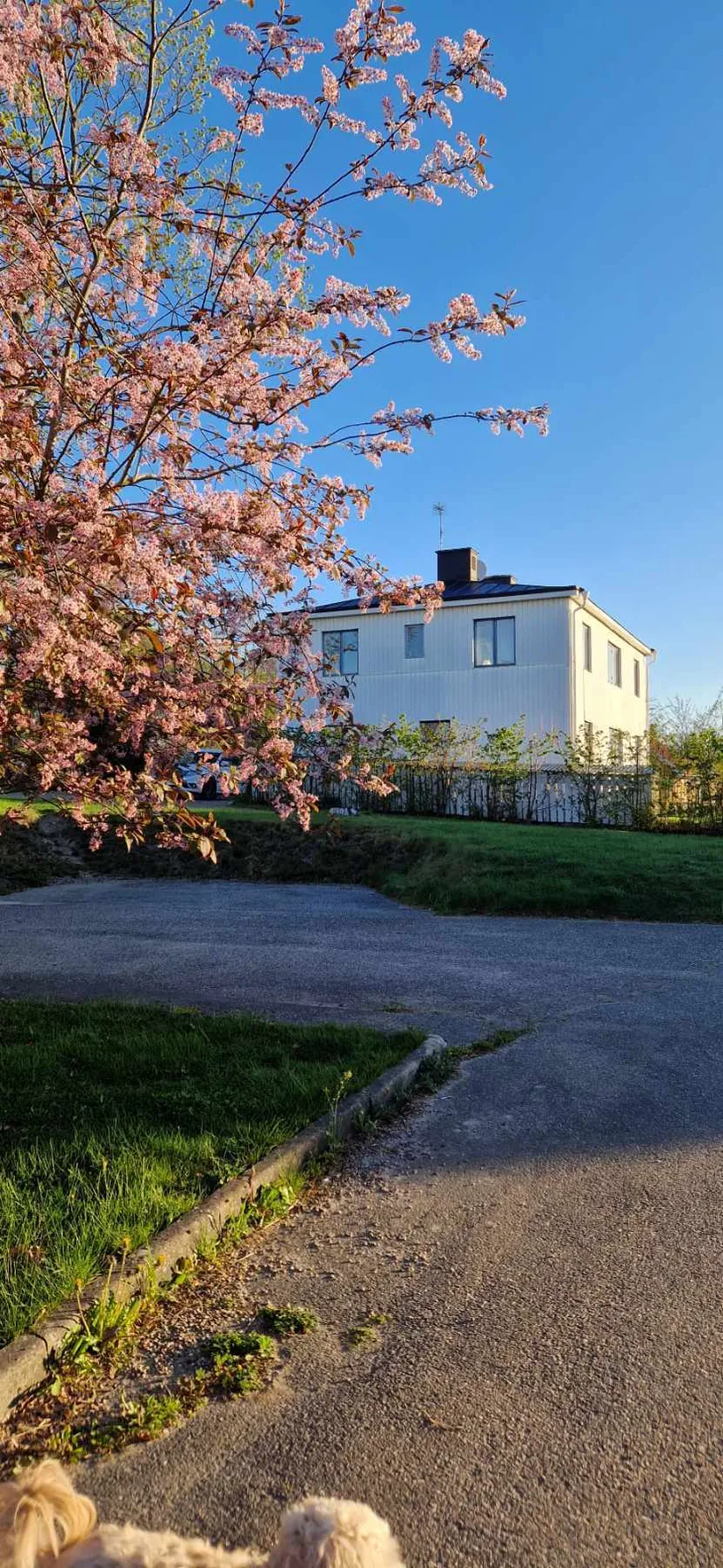Villa, Köpmangatan 9, Valla, Katrineholm