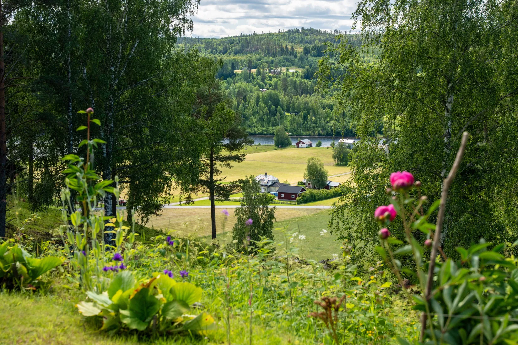 Gård/Skog, Höven 125, Sollefteå
