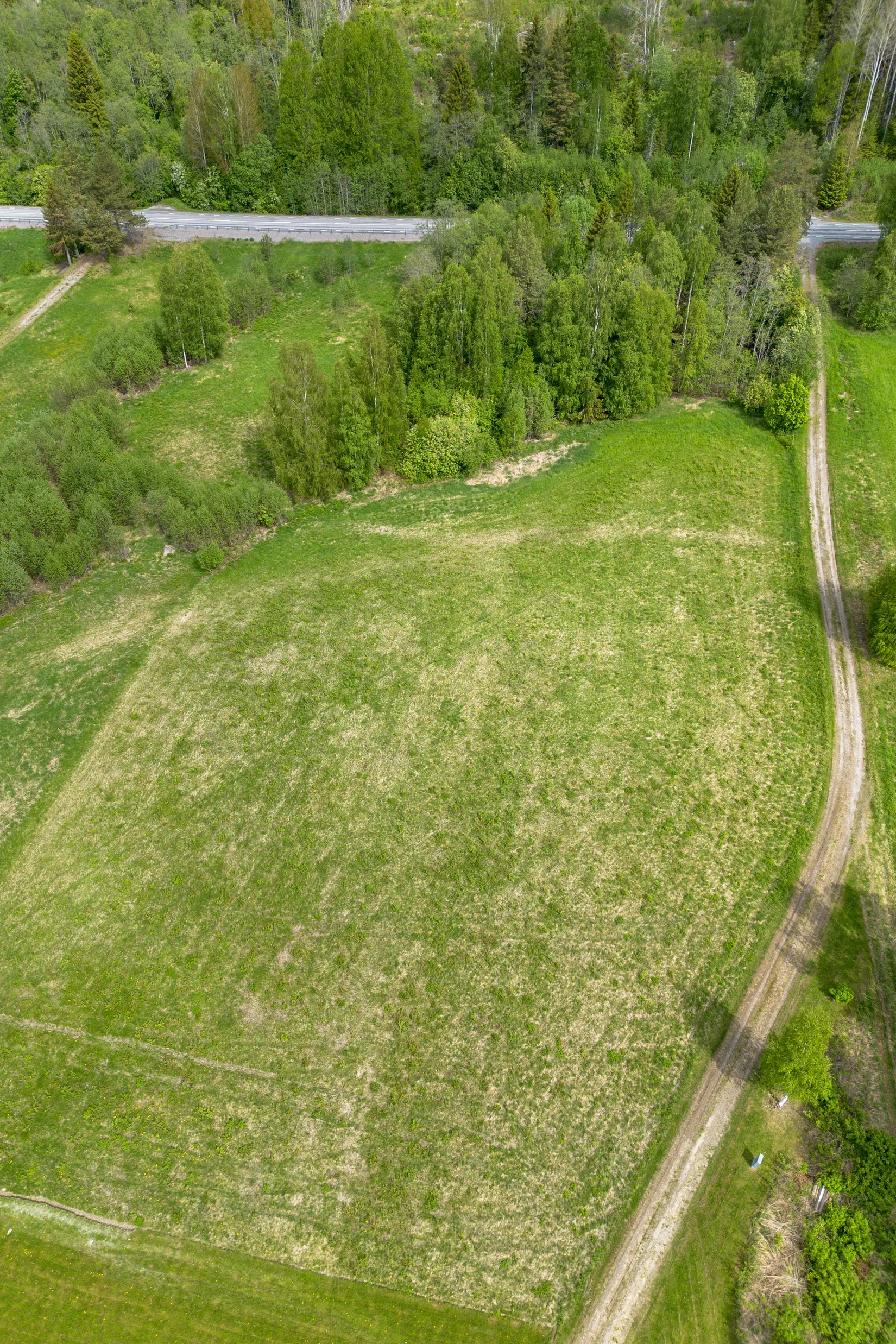 Gård/Skog, Höven 125, Sollefteå