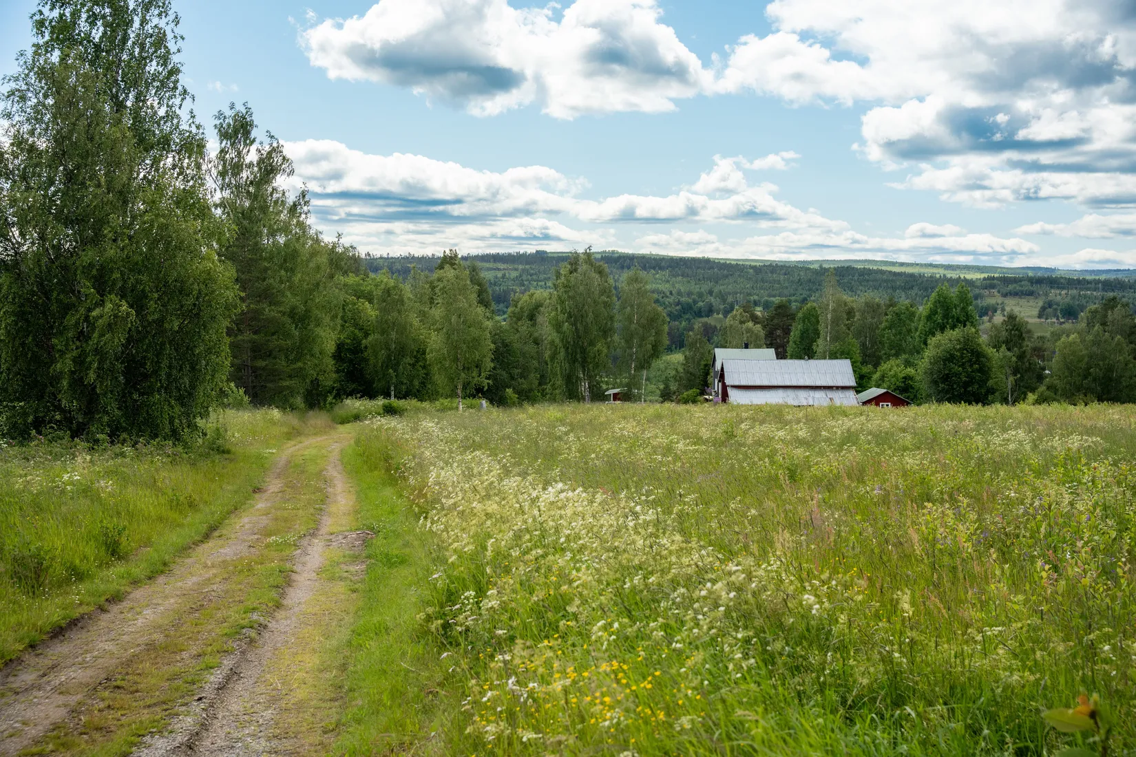 Gård/Skog, Höven 125, Sollefteå