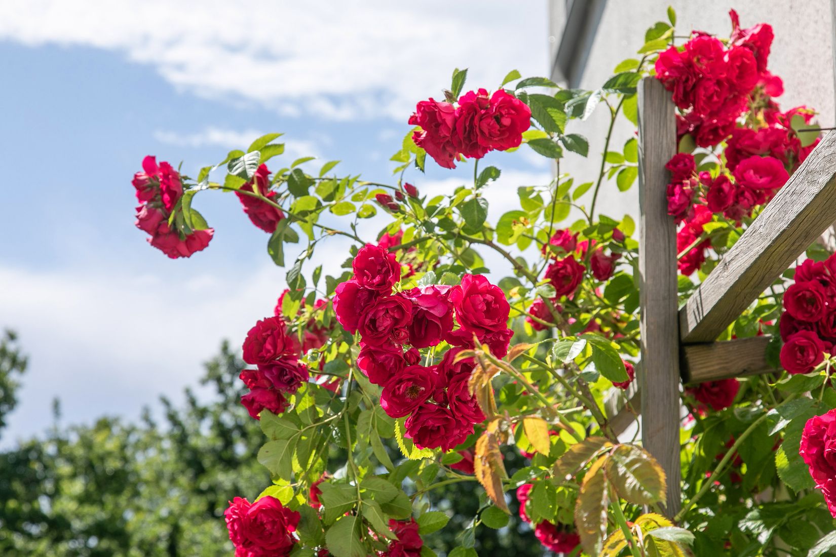 Villa, Freyvägen 34, Igelboda, Nacka