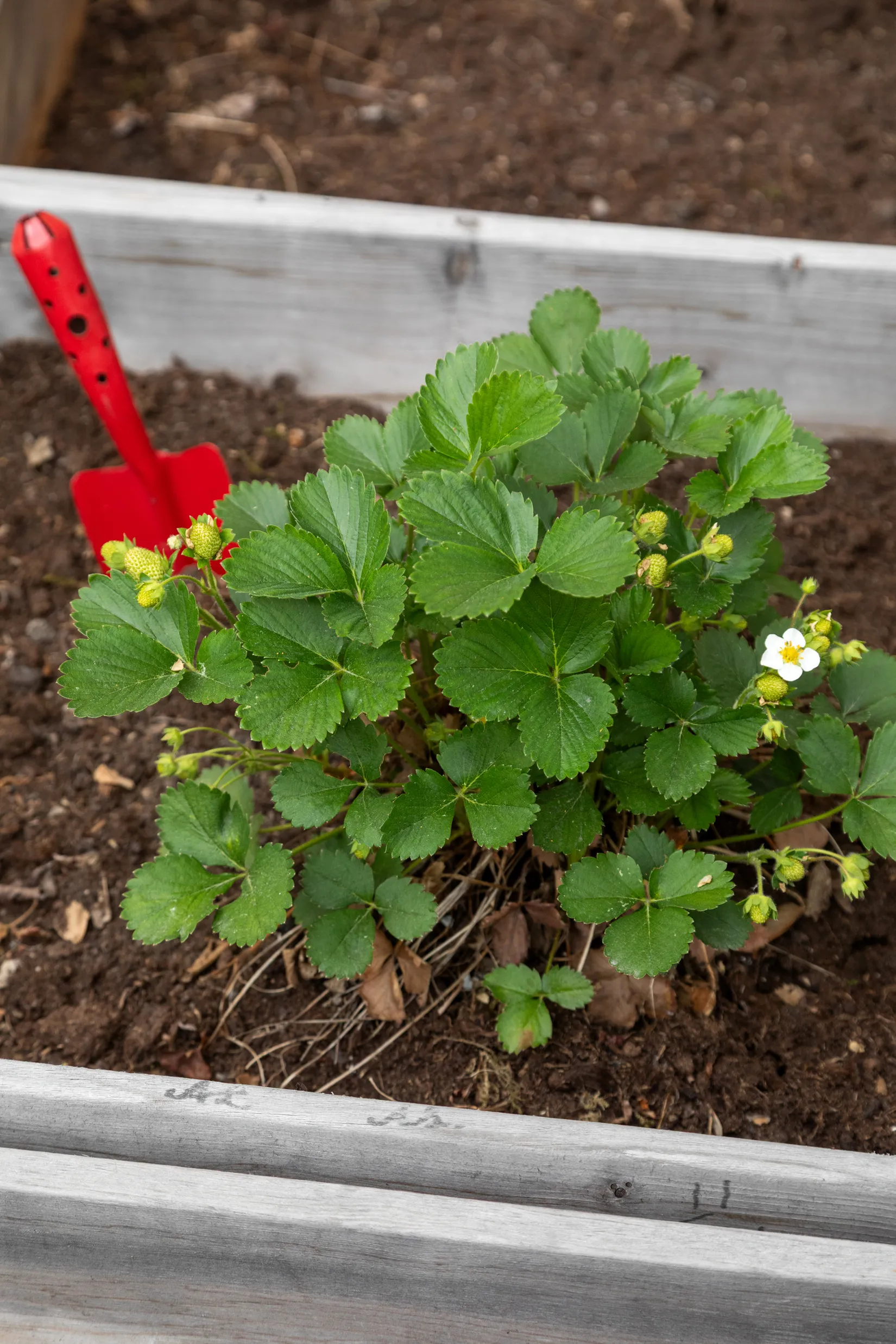 Bostadsrätt, Vendelsömalmsvägen 106, Vendelsö, Haninge