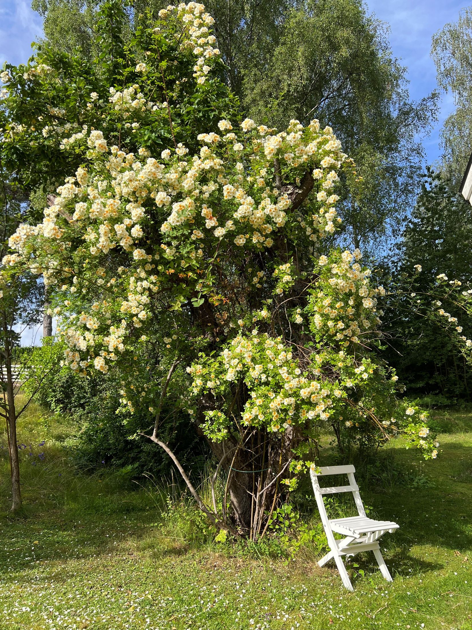 Villa, Vattenverksvägen 23, Åkerstorp, Österåker