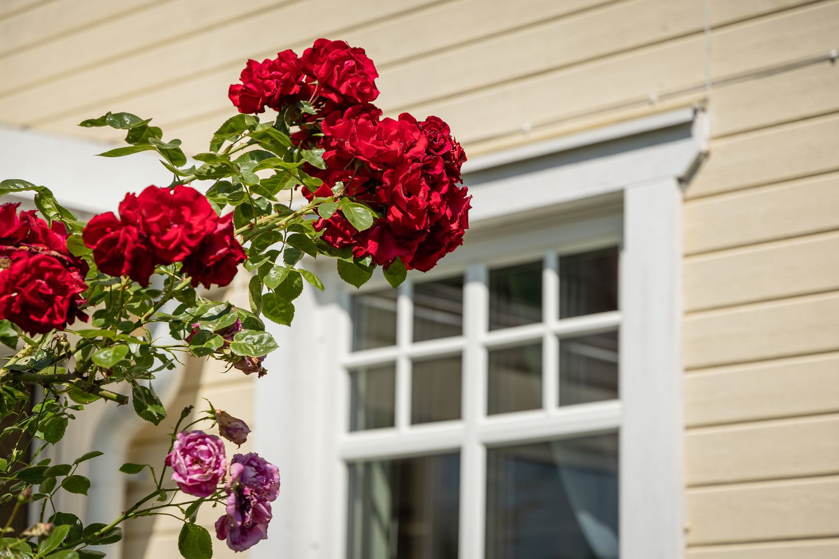 Villa, Verkstadsvägen 137, Motala Verkstadsområdet, Motala