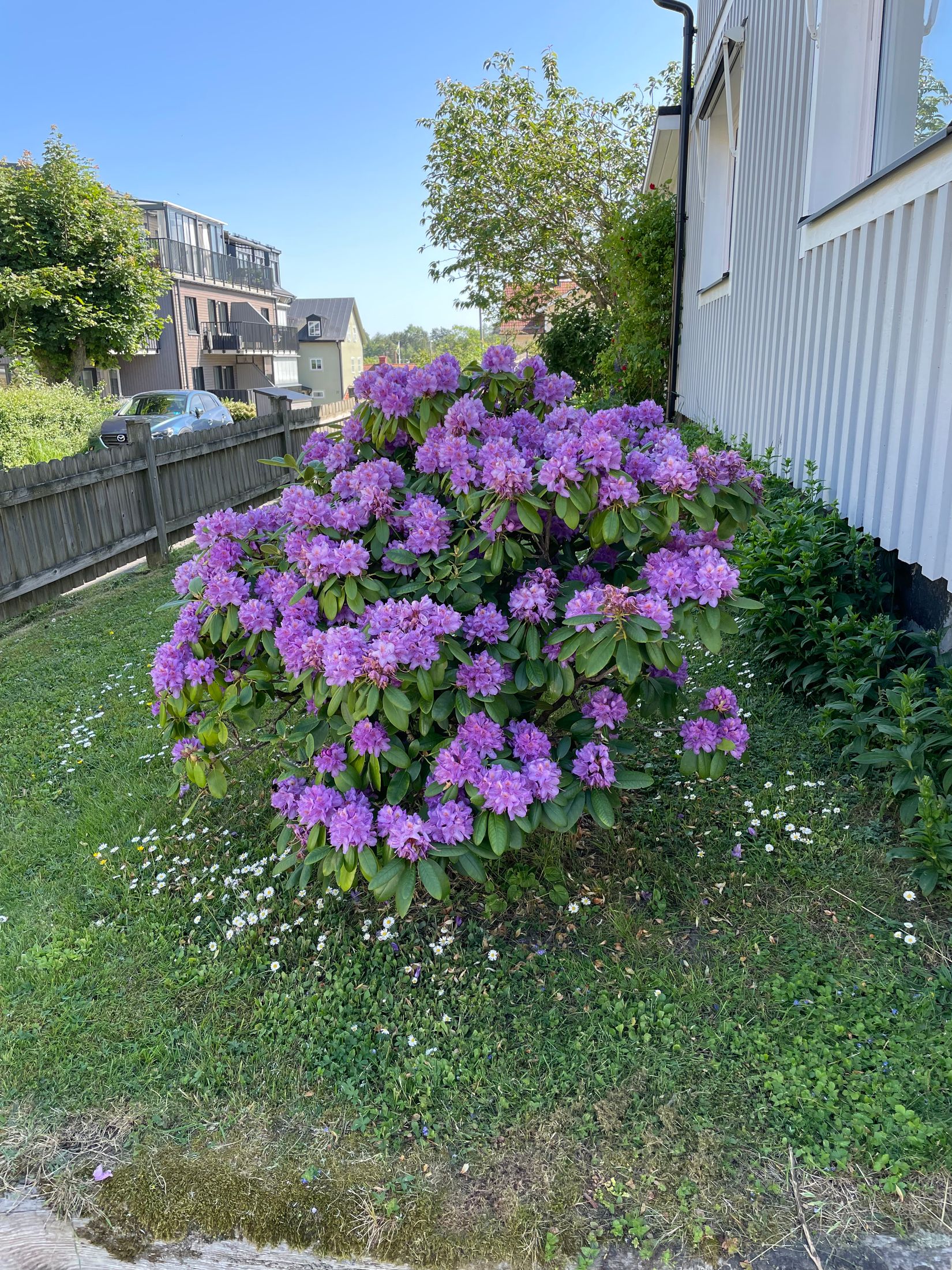 Villa, Torsgatan 3, Centralt, Norrtälje