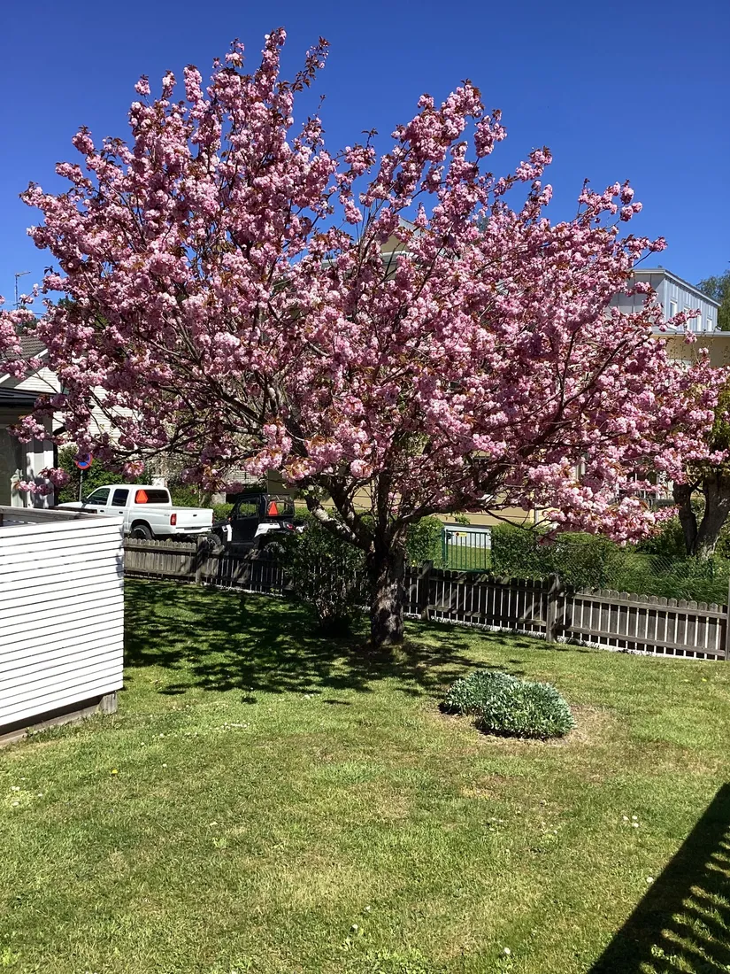 Villa, Torsgatan 3, Centralt, Norrtälje