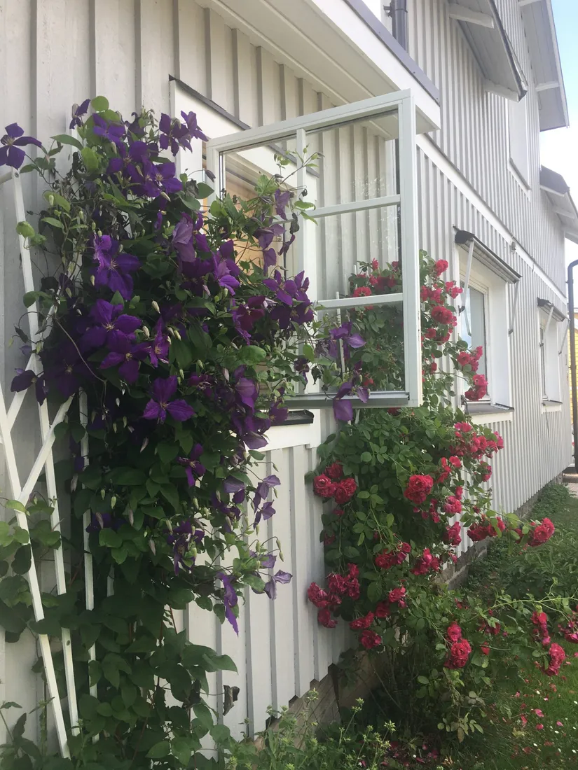 Villa, Torsgatan 3, Centralt, Norrtälje