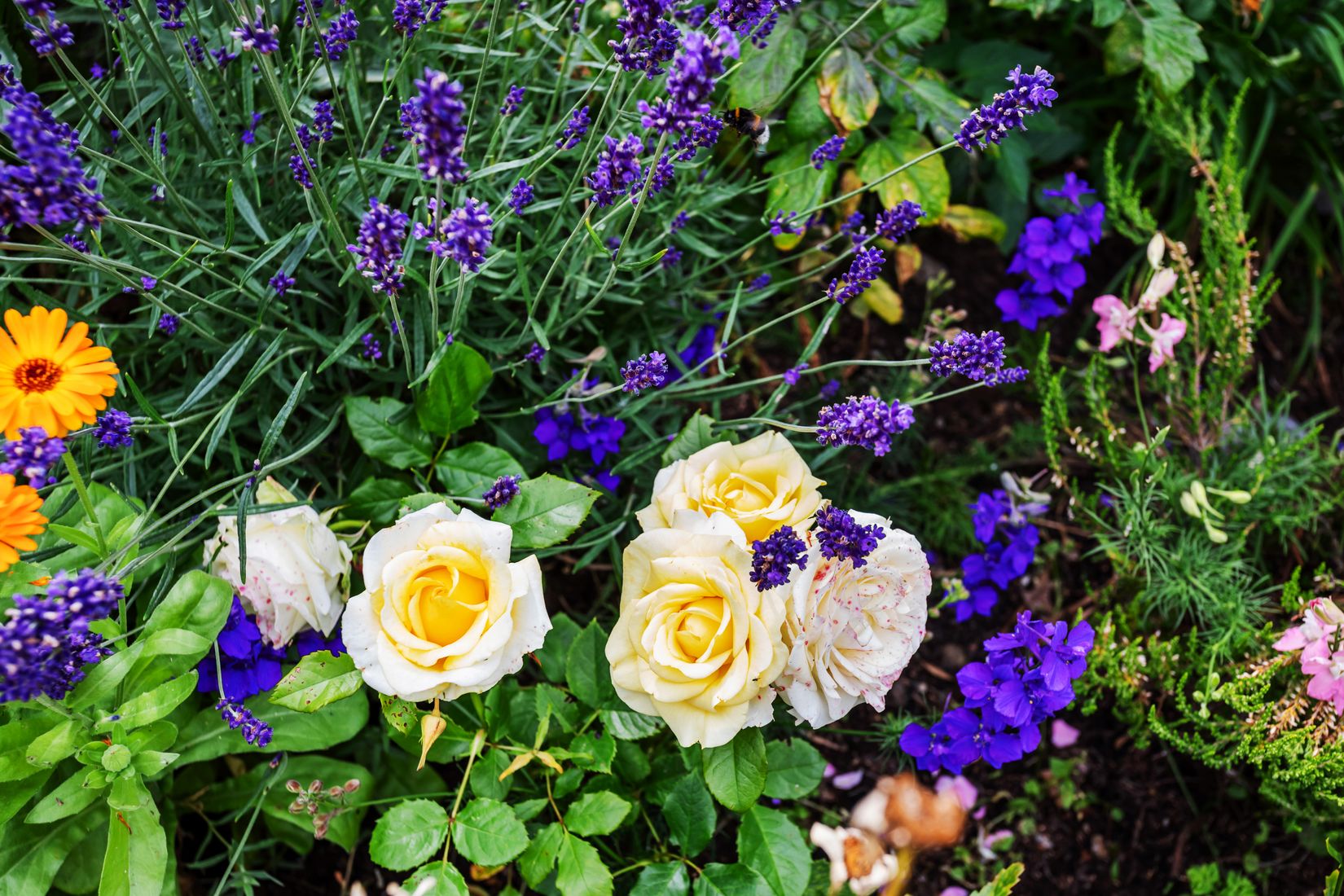 Bostadsrätt, Röda gatan 12a, Berga, Kalmar