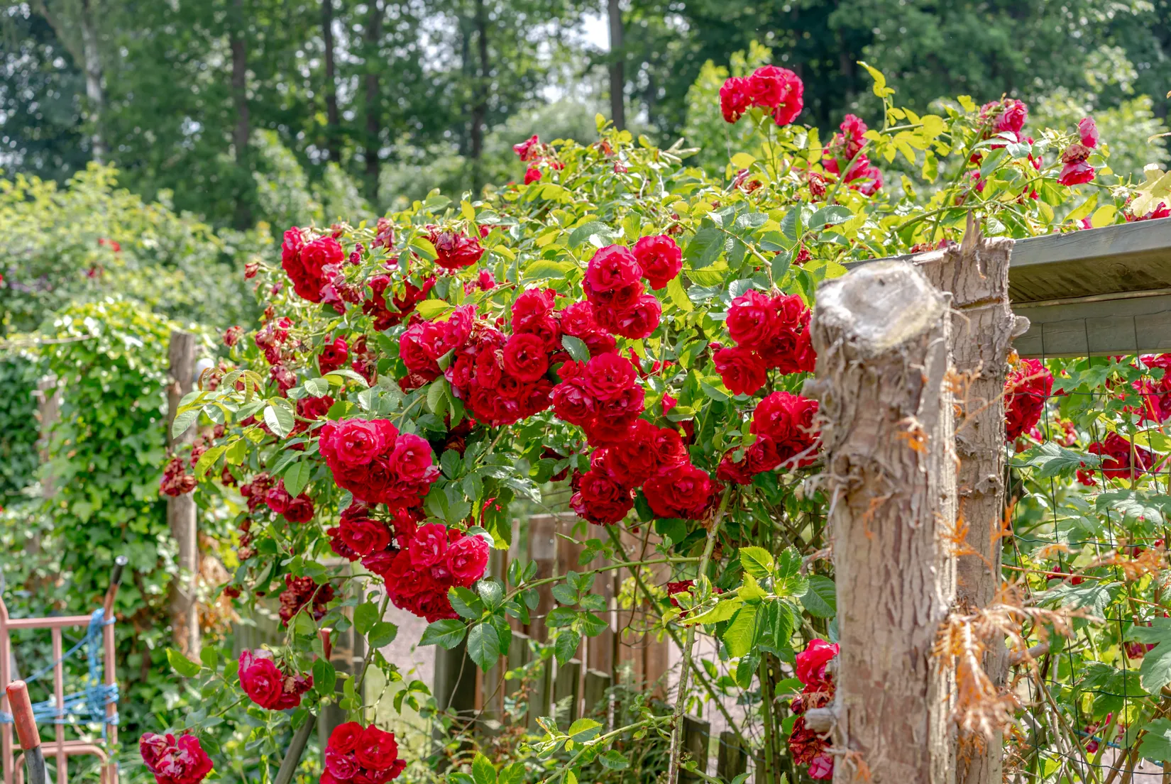 Villa, Östermalmsgatan 86, Verkstadstorget, Motala