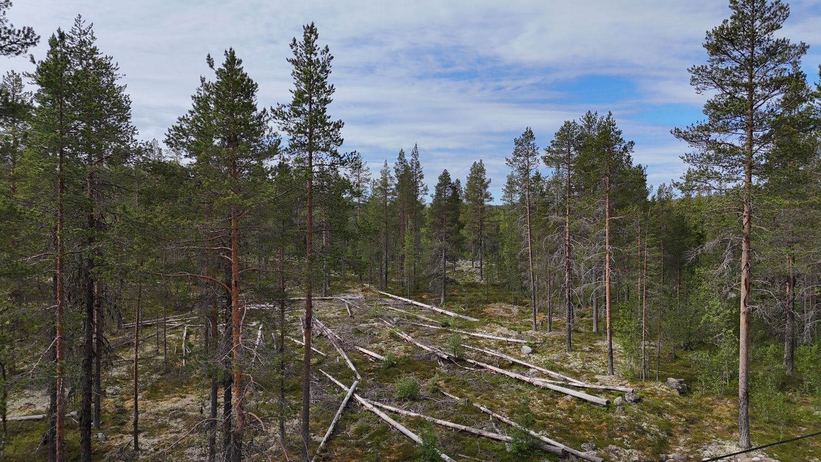 Tomt, Västvallen 131, Namnlös, Härjedalen