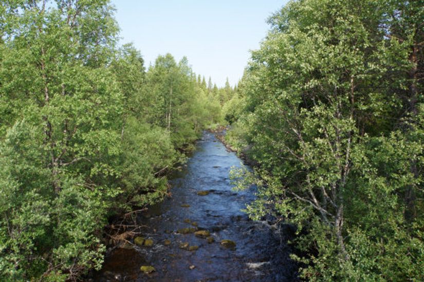 Tomt, Västvallen 131, Namnlös, Härjedalen