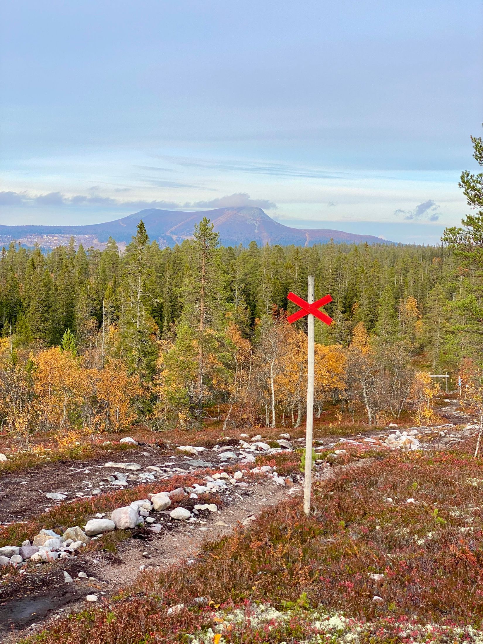 Tomt, Västvallen 131, Namnlös, Härjedalen