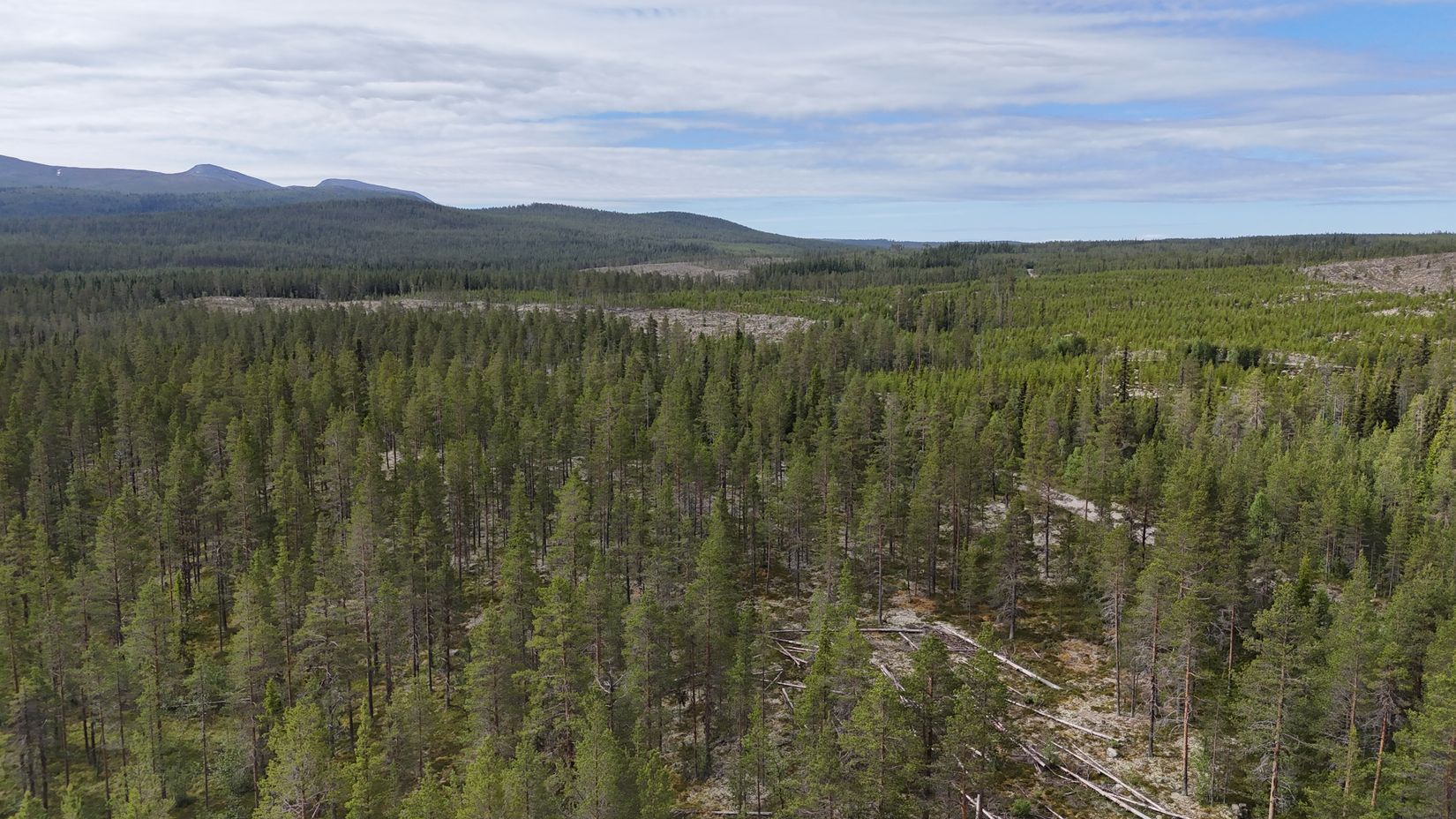 Tomt, Västvallen 131, Namnlös, Härjedalen