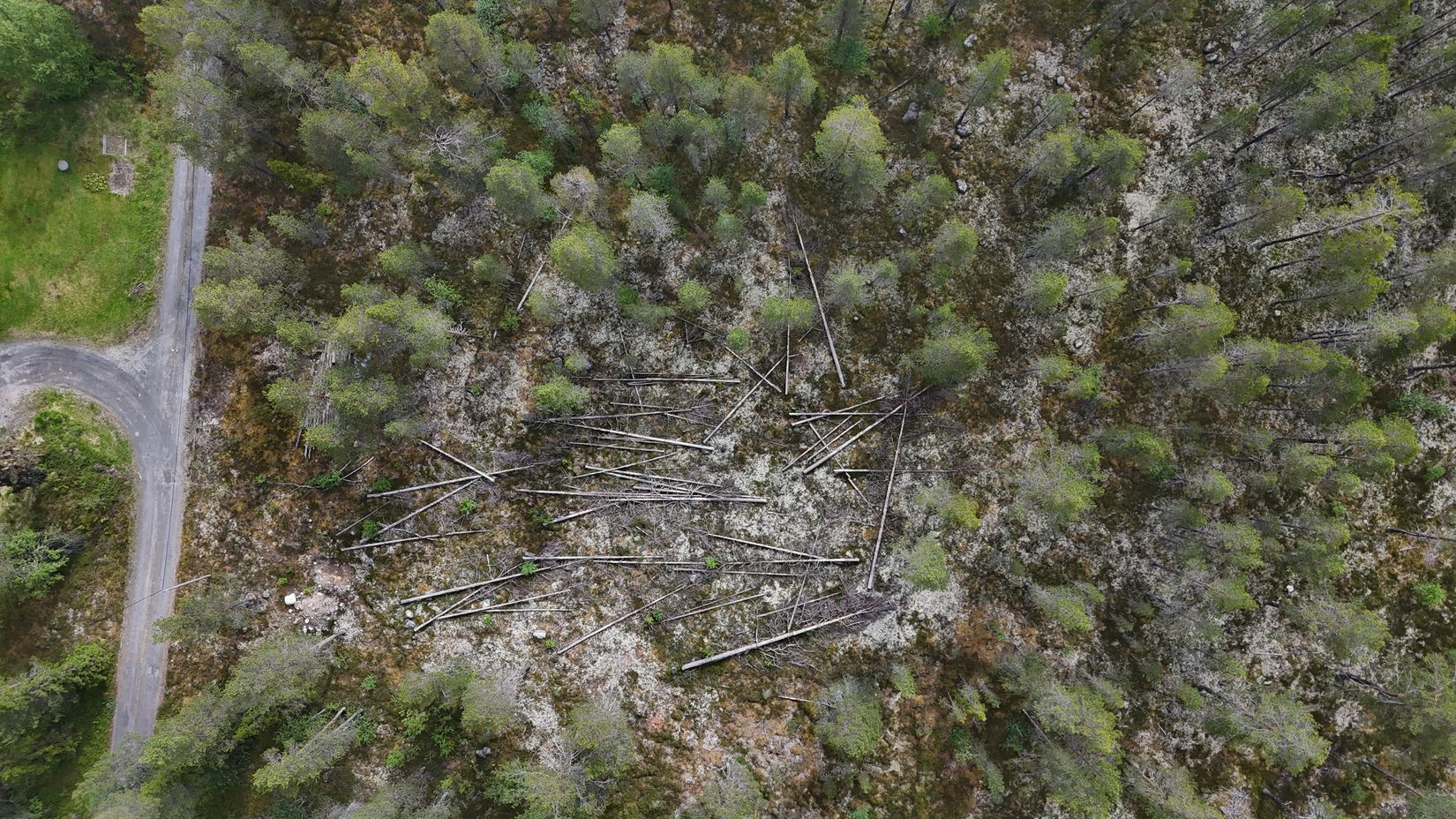 Tomt, Västvallen 131, Namnlös, Härjedalen