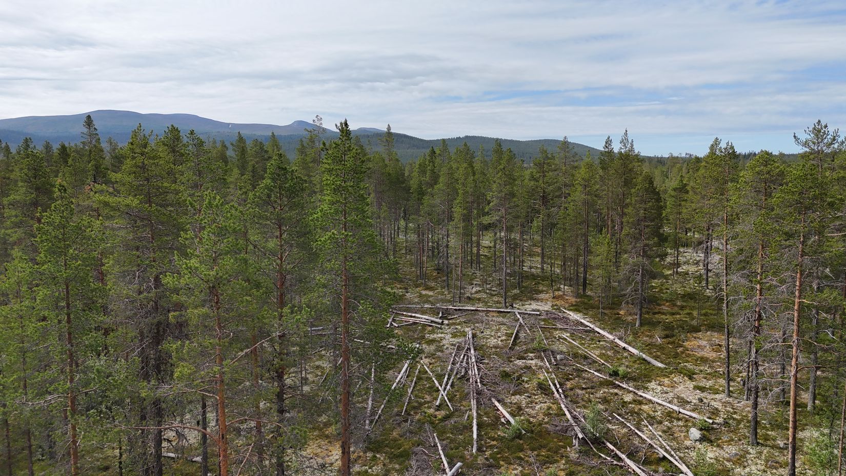 Tomt, Västvallen 131, Namnlös, Härjedalen