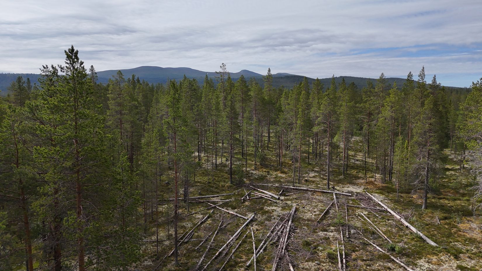 Tomt, Västvallen 131, Namnlös, Härjedalen