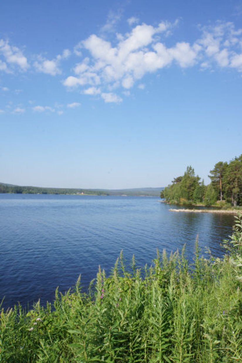 Tomt, Västvallen 131, Namnlös, Härjedalen