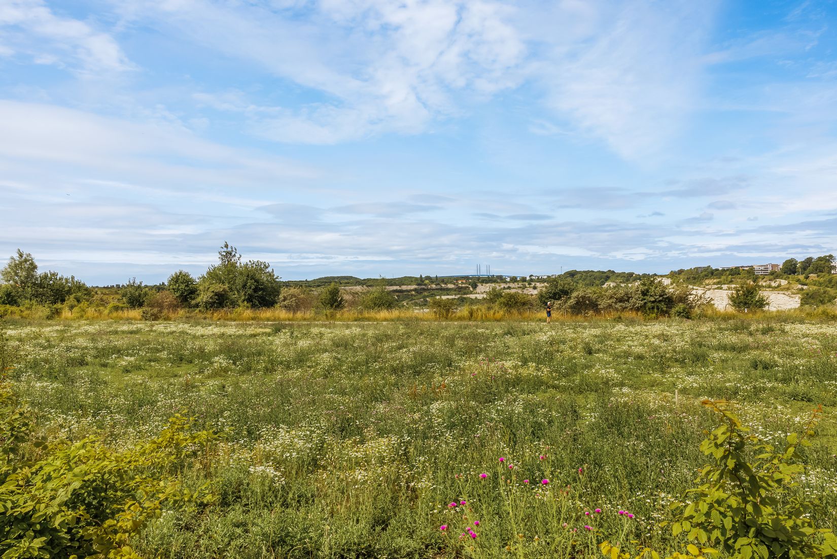 Bostadsrätt, Blåsebergavägen 29, Elinegård, Malmö