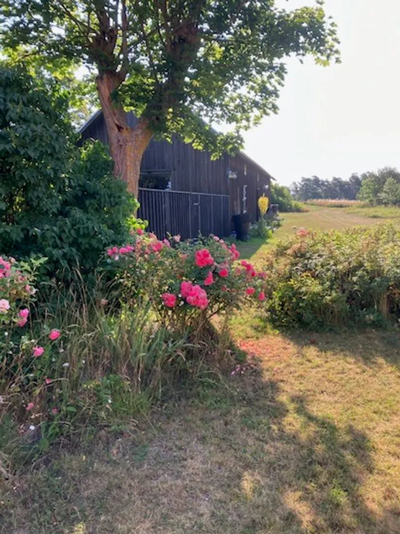 Villa, Hall Hägvards 139, Hall - Norra Gotland, Gotland