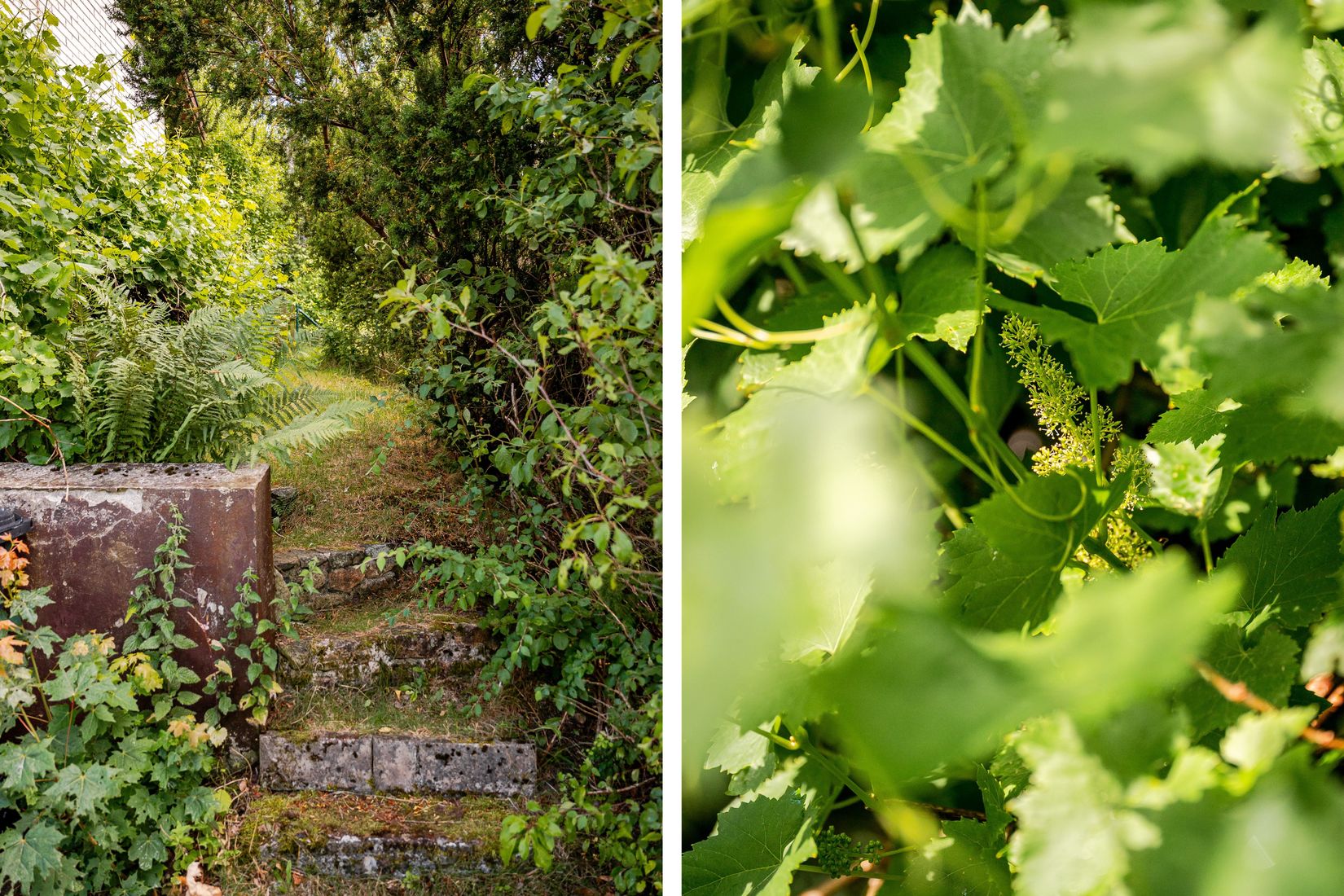 Villa, Gamla vägen 6, Gamla Läreda, Hässleholm