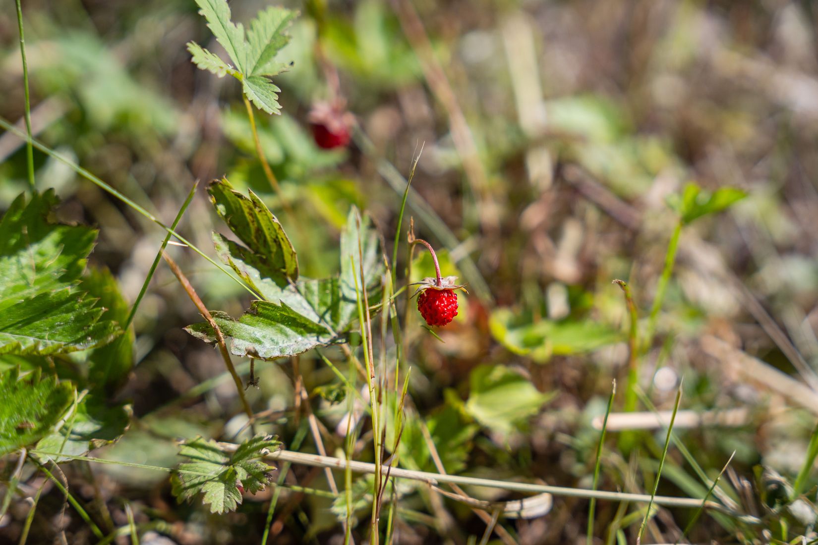 Tomt, Järstad 11, Vikbolandet, Norrköping