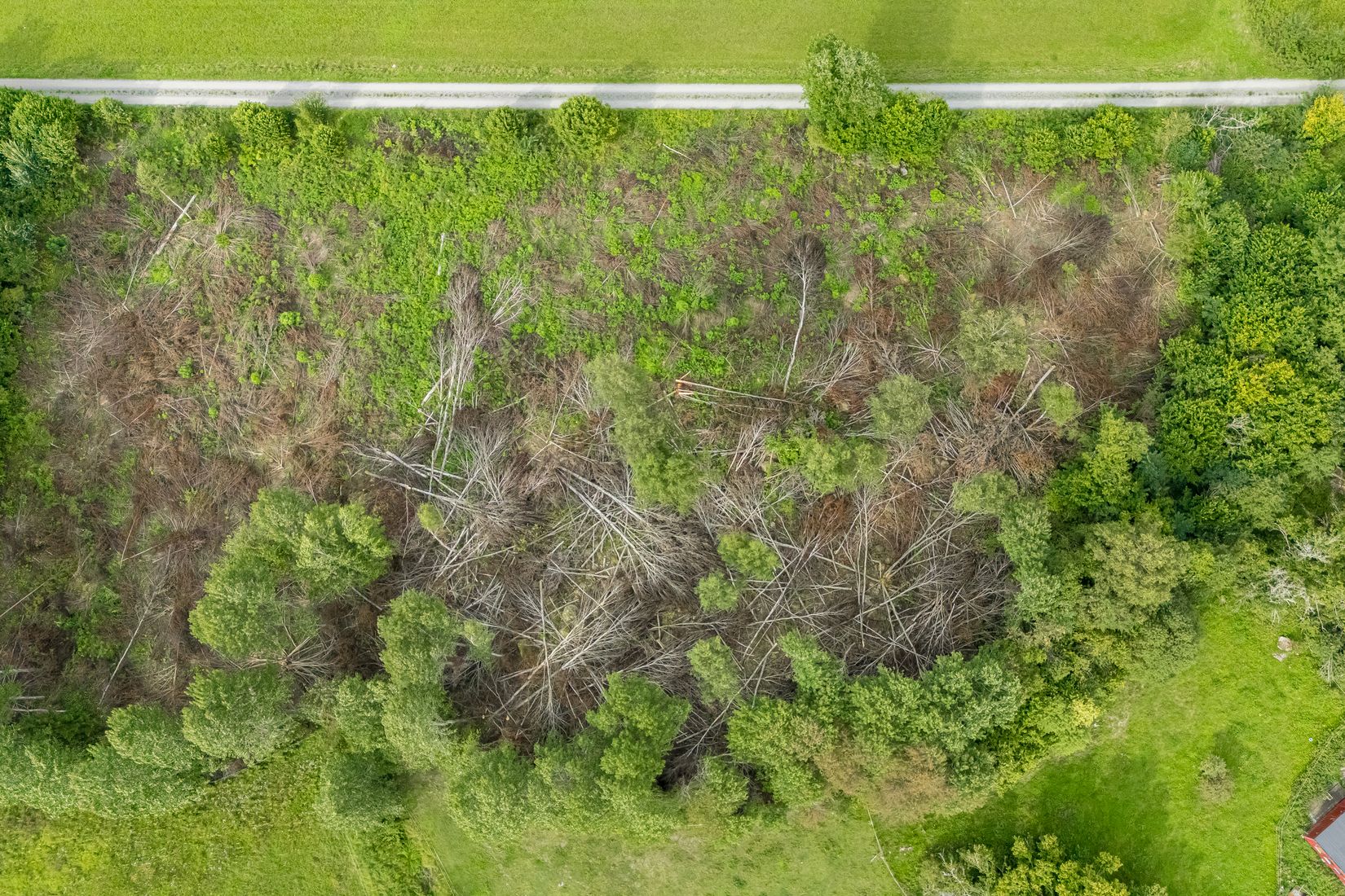 Villa, Rosendal 346A, Skuttunge, Uppsala