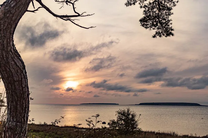 Bostadsrätt, Fröjel Balders väg 12B, Fröjel, Gotland