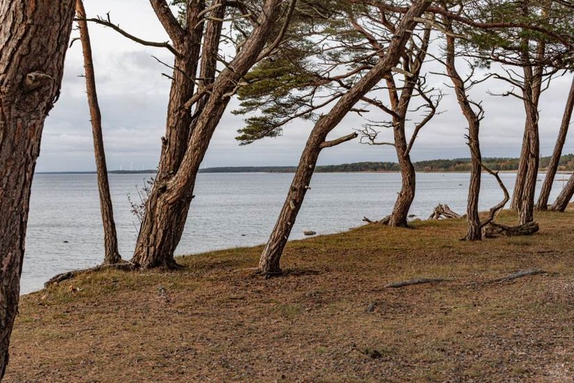 Bostadsrätt, Fröjel Balders väg 12B, Fröjel, Gotland