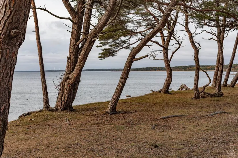 Bostadsrätt, Fröjel Balders väg 12B, Fröjel, Gotland